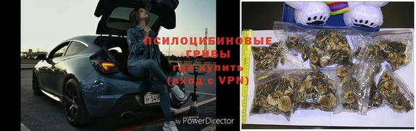 СК Няндома