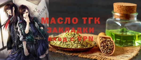 СК Няндома