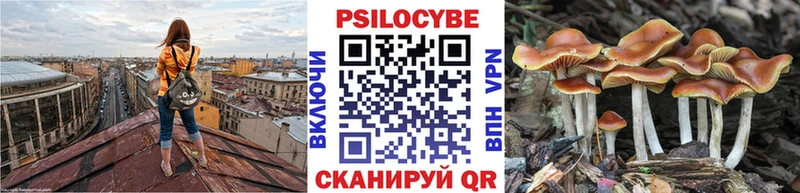 Псилоцибиновые грибы мицелий  shop телеграм  Луга  продажа наркотиков 
