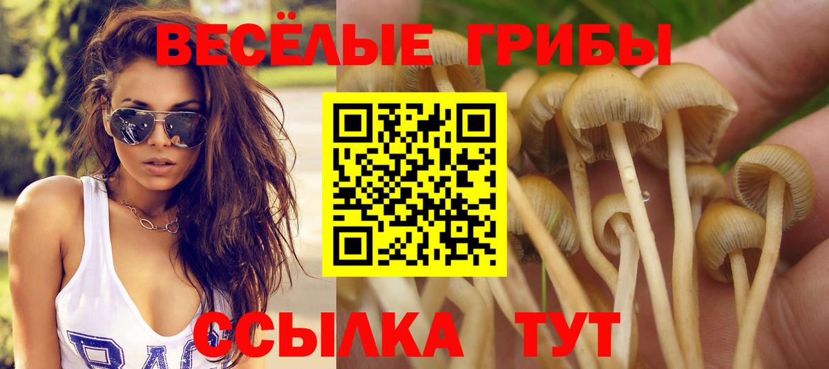 Галлюциногенные грибы GOLDEN TEACHER Луга