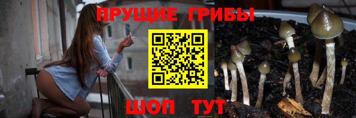 Псилоцибиновые грибы мухоморы  Вход с VPN  Луга 